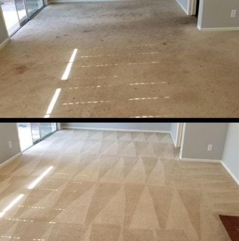 Before and after photo of a carpet cleaned by us in Mesquite.