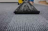 Carpet cleaning process. This photo was taken in Mesquite, TX.